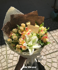 Nắng Ủ Êm- Một chút ánh sáng cho những ngày nhiều gió