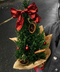 Cây Tùng trang trí giáng sinh